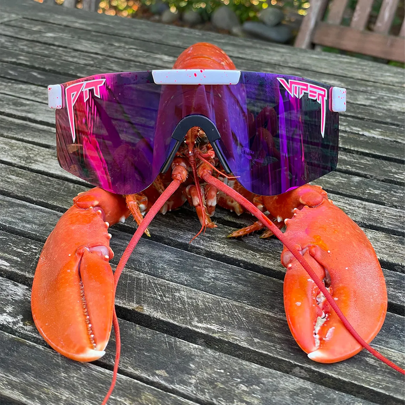 Pit Viper The Originals sunglasses - LA Brights