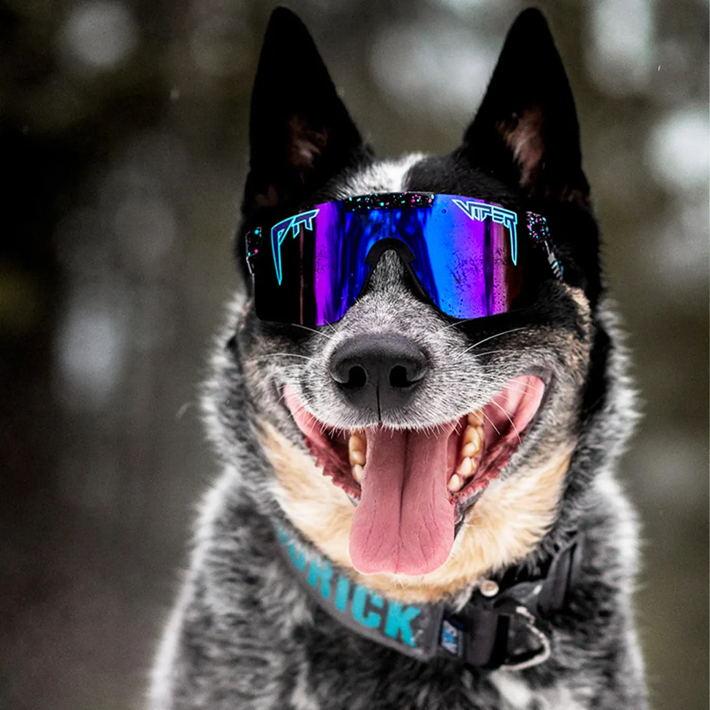 Pit Viper The Originals sunglasses - Night Fall